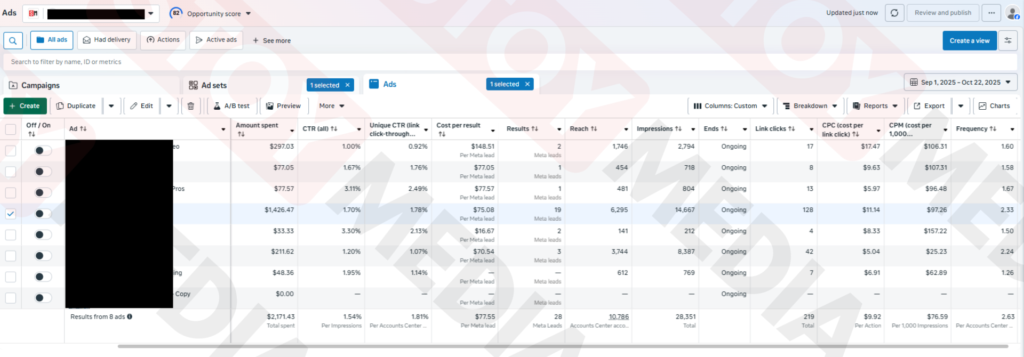 Watermarked $75 roofing lead result